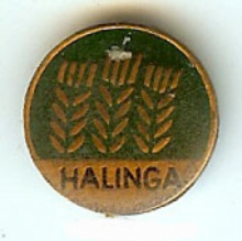 Халинга