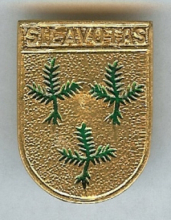 Шилавотас