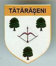 Тэтэрэшень