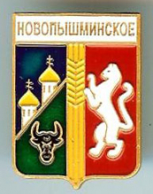 Новопышминское