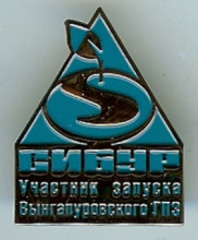 Вынгапуровский